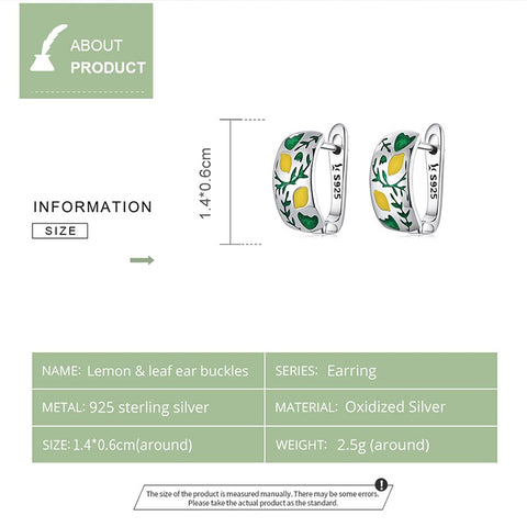 Brincos 925 Sterling Silver